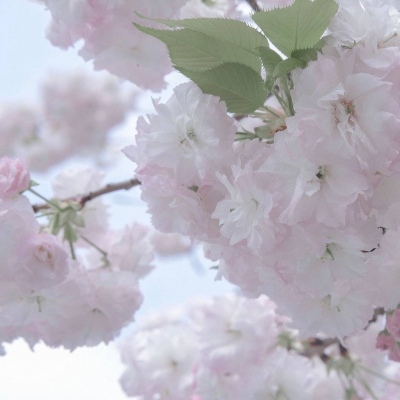 Furry插画风格探索思路FurryQQ群